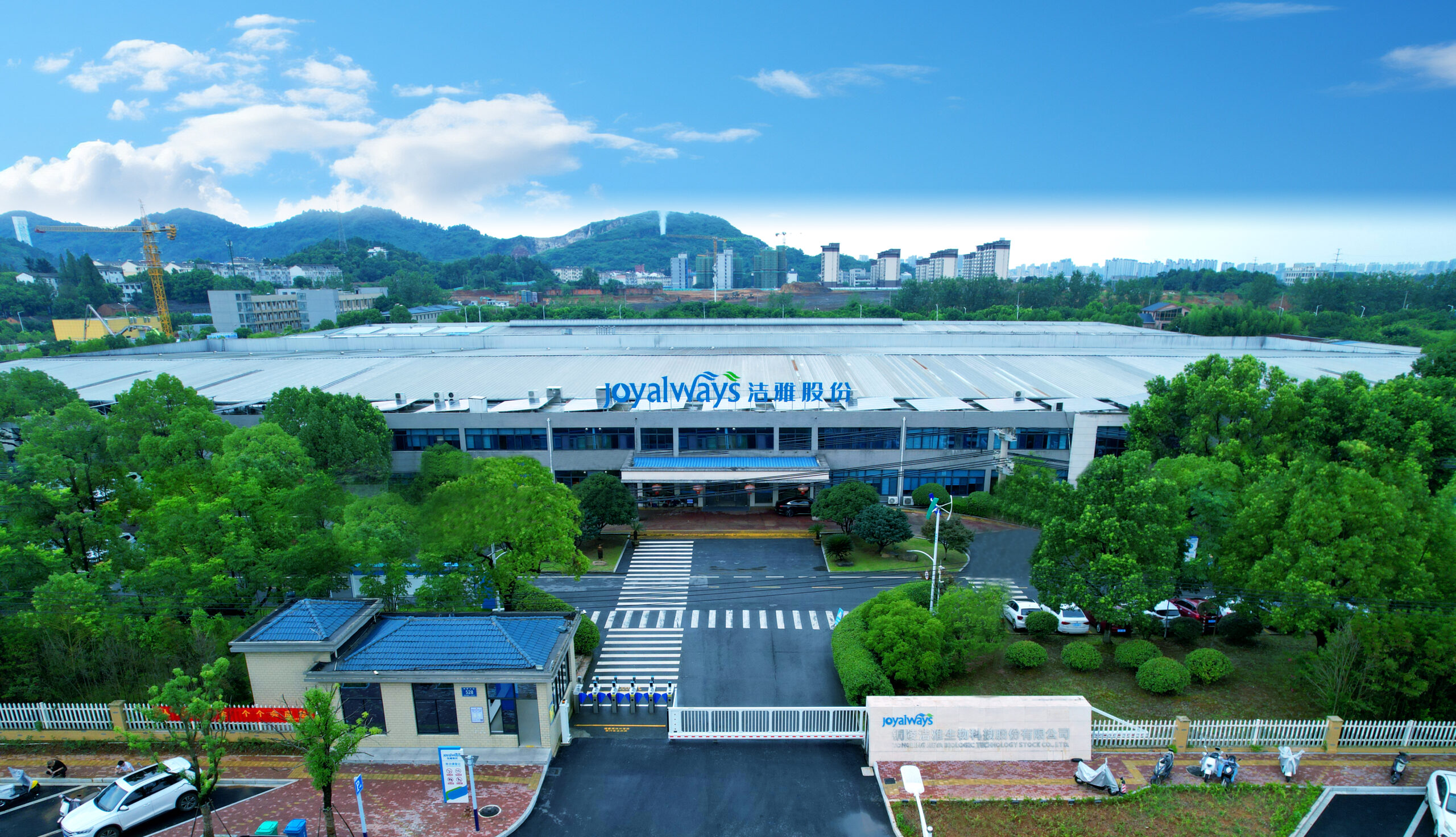 客户案例